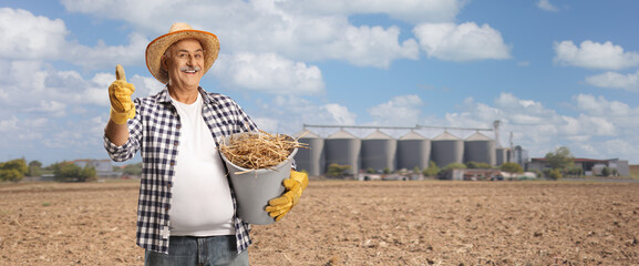 Happy mature farmer holding a bucket full of hay and gesturing thumbs up on a field with silos