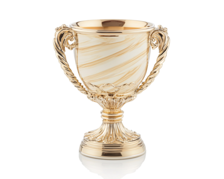 a gold trophy with a white background