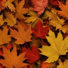 Fototapeta premium Thanksgiving Rustic Autumn Decor in 300 DPI