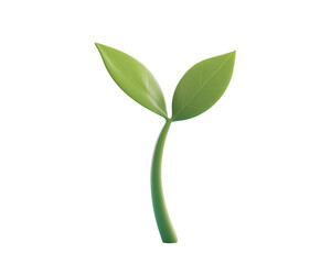 a green plant with leaves