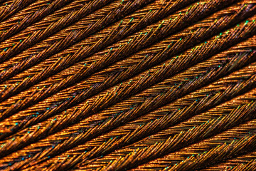 Extreme Macro Close-Up of an Incredibly Beautiful and Amazing Peacock Feather Highlighting...
