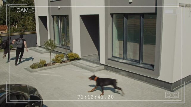 Security Camera Footage Shows Two Armed Burglars Attempt a Break-In but Are Chased Away by a Guard Dog Protecting the Home. Concept of Home Security Pet Protection and the Role of Guard Dogs