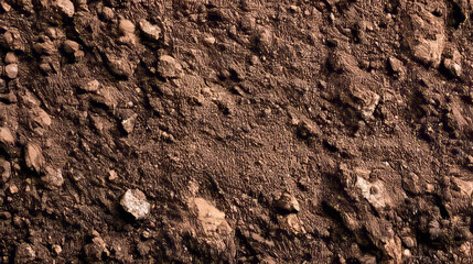 Rocky terrain with natural stones and earthy texture