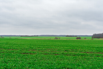 Vast green fields stretch across the landscape, dotted with patches of trees against an overcast sky typical of early spring. Fresh growth emerges after winter.