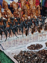 Diverse insect delicacies displayed on skewers at an outdoor food market