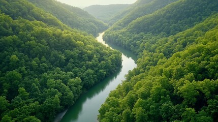 Aerial view of a winding river surrounded by lush green forests.