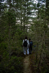 Fototapeta premium Hikers walking on path through lush green forest