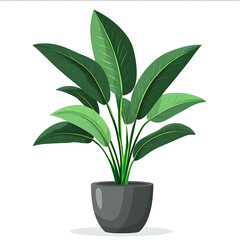 home plant over white background cartoon 2d style