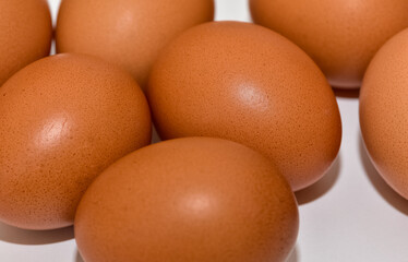 animal products, brown chicken eggs.