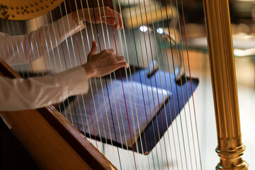 ハープ