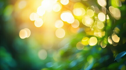 Obraz premium Abstract Blurred Green and Yellow Background with Bokeh Lights