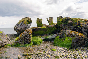 A rocky shoreline with a stream of water running through it
