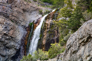 Obraz premium waterfall in the forest
