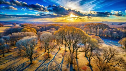 Obraz premium Aerial View of Bare Trees Stretching Towards a Clear Blue Sky in a Serene Landscape, Showcasing Nature's Beauty and Tranquility from Above, Perfect for Environmental and Scenic Themes