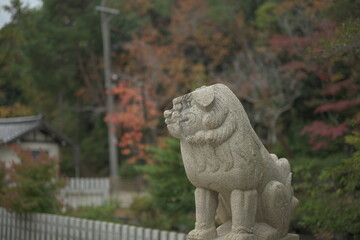 shrine komainu