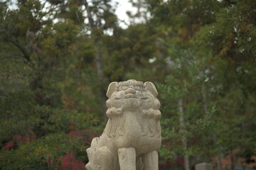 shrine komainu