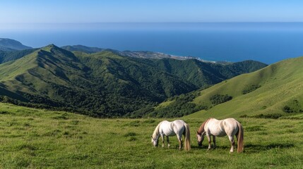 Fototapeta premium Two horses graze on vibrant green grass on Hallongseom Island with Shatskaya Rock visible in the distance on a sunny day