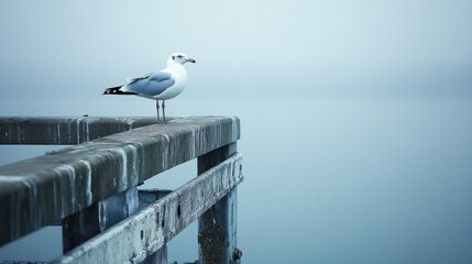 A seagull is standing on a pier by the ocean