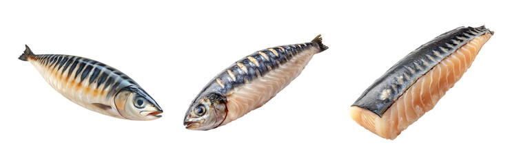 Naklejka premium Fresh Mackerel Fish on White Background Isolated on transparent background png