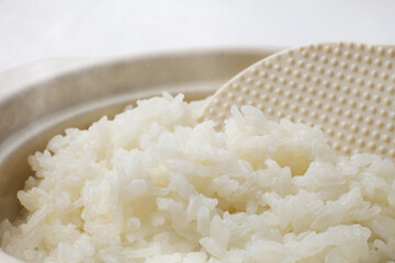 　炊きたててご飯　　白バック