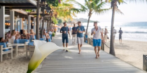 A serene beach scene featuring a sharp, white calla lily in the foreground, with a blurred background of beachgoers enjoying the sunny day by the ocean.