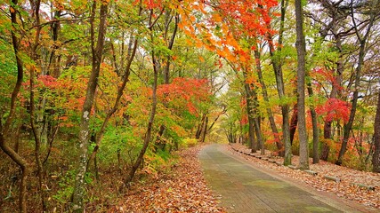 Obraz premium Autumn scenery of Seoknamsa Temple in Korea