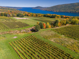 Aerial View of Vineyards Overlooking Canandaigua Lake. South Bristol, New York. Finger Lakes New...