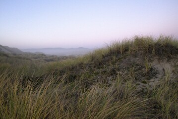 View of the sandbanks of a beach facing away from the sunset, with the sky fading from purple to blue.