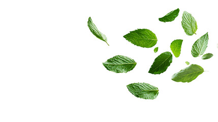 Flying Delicious Fresh Mint Leaves on Transparent Background