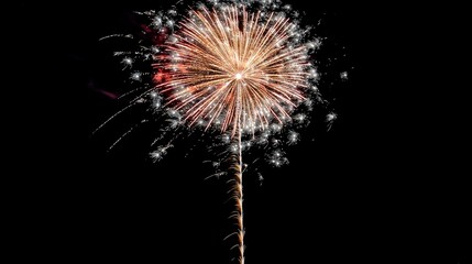 Fototapeta premium Spectacular firework explosion illuminates night sky with dazzling burst of golden light, surrounded by smaller white sparks against dark background.