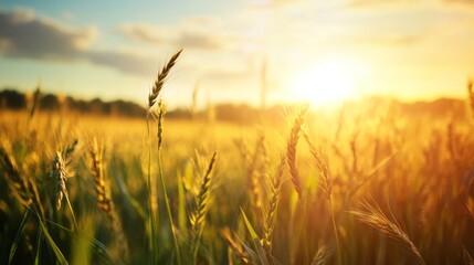 Naklejka premium Biofuel produced from food waste, promoting circular economy solutions
