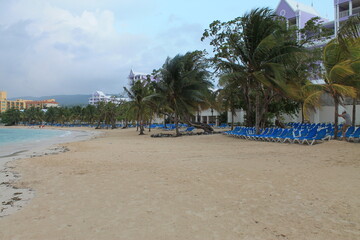 a beach with palm trees and lounge chairs