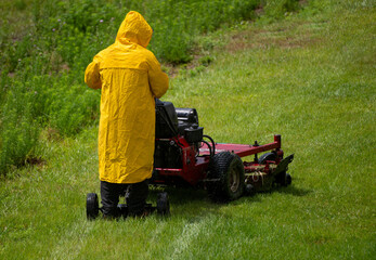 Obraz premium Cut grass at field. Mowing lawn. Lawn equipment. Grass clippers. Lawn mower. Grass cutting tool. Lawn care. Background for advertising. Advertising banner.