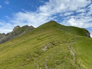 Alpine meadows and pastures on the slopes of the Uri Alps mountain massif, Melchtal - Canton of Obwalden, Switzerland (Kanton Obwald, Schweiz)