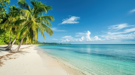A tropical beach with palm trees, a clear blue ocean, and a sandy shore, perfect for a summer vacation theme