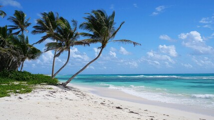Fototapeta premium A tropical beach scene with turquoise water, white sand, and palm trees swaying in the warm breeze