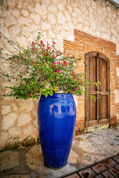 Big blue flowerpot with bougainvillea in the medieval street