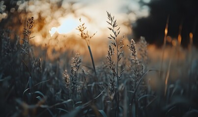 Obraz premium Close-up of tall grass in the foreground, Generative AI