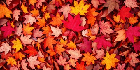 Autumn background featuring fallen leaves in vibrant red, orange, and yellow hues, fallen leaves, orange