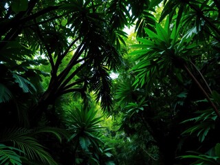 Fototapeta premium Lush green rainforest canopy in tropical jungle, peaceful, wildlife