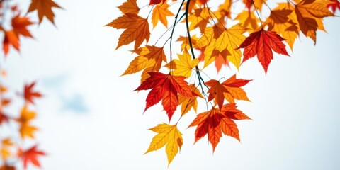 Fototapeta premium Close-up photo of colorful autumn leaves falling gently against a pale blue sky background, peaceful, foliage