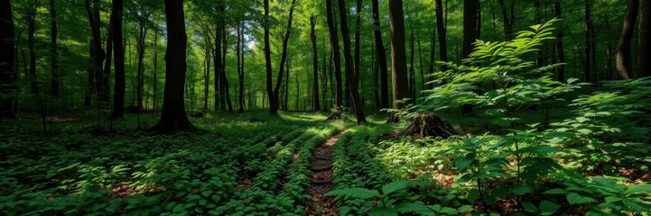 Fototapeta premium Lush green forest leaves creating a natural backdrop, forest floor, serenity