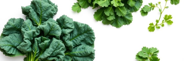 Fototapeta premium Single fresh green kale leaf isolated on white background, clean eating, fresh