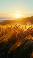 Naklejka premium Golden wheat fields sway gently in the wind as the sun sets in the background, creating a serene and picturesque rural scene.