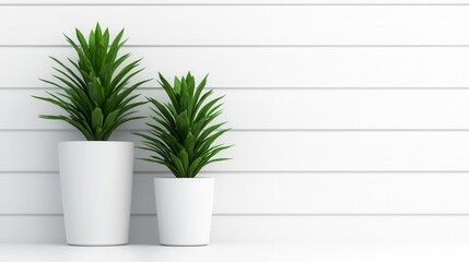 Fototapeta premium Modern minimalistic interior design with potted green plants