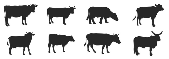 Set of cows. Black silhouette cow isolated on white. Hand drawn vector illustration