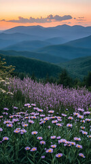Fototapeta premium Sunset Mountain Meadow Illustration
