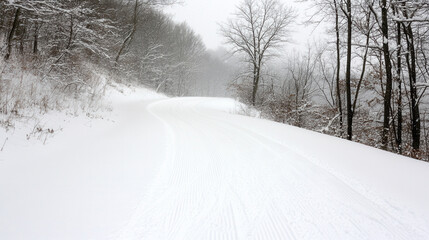 Fototapeta premium snow covered road winding through tranquil forest, surrounded by trees and serene winter landscape. scene evokes sense of calm and beauty
