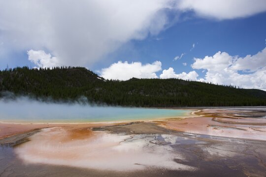 Ground View of the Grand Prismatic Spring at Yellowstone National Park