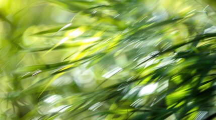 Blurry shapes whooshing by leaving a trail of wind in their wake.